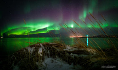 Ultimate Iceland Winter Adventure: Golden Circle, South Coast & Northern Lights Tour