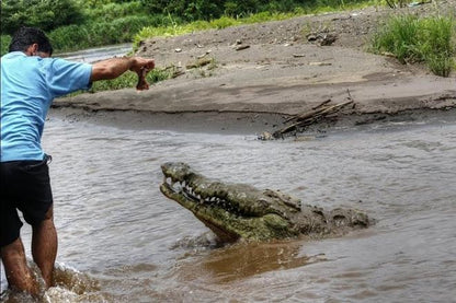 Crocodile Safari & Beach Exploration: A Thrilling Day Tour from San Jose to Jaco