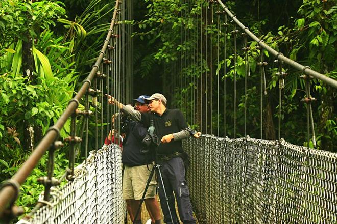 Arenal Volcano Adventure: Private Tour of Hanging Bridges and Baldi Hot Springs from San Jose