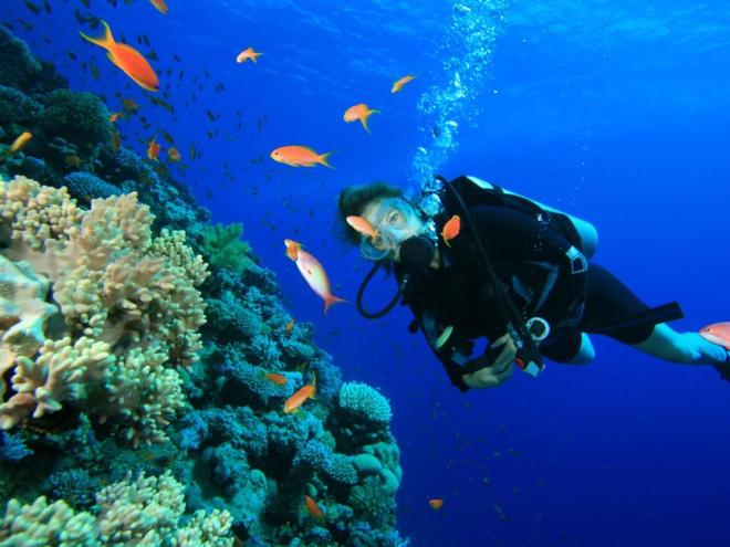 Nusa Dua Exclusive Diving Adventure: Private Bali Underwater Exploration