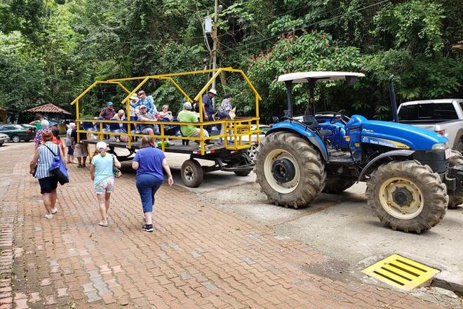 Puntarenas Coastal Adventure: Jungle and River Wagon Expedition