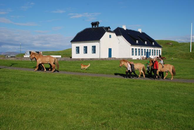 Viðey Island Ferry Adventure: Departing from Old Harbour