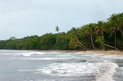 8-Day Costa Rican Adventure: From San Jose to Tortuguero and Cahuita Exploration