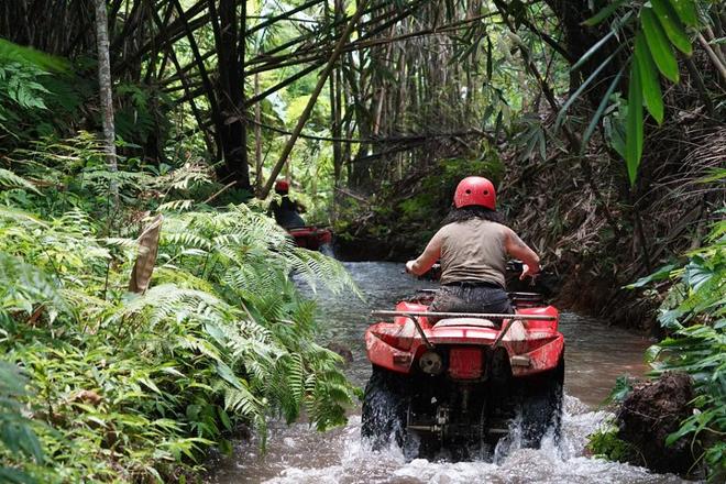 Scenic ATV Adventure: Explore the Fun Zone and Breathtaking Trails