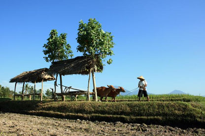 Day in the Life of a Balinese: Cultural Immersion Experience