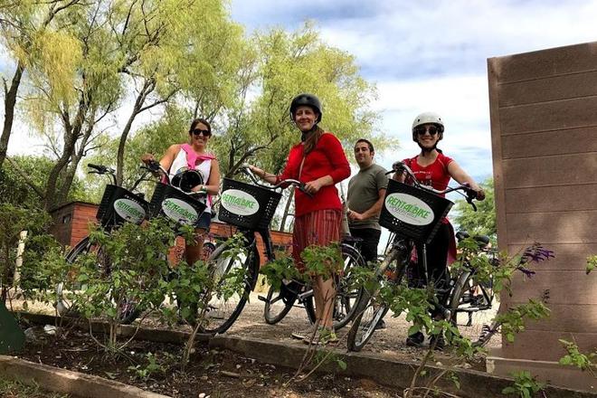 Buenos Aires All-Day Bicycle Hire: Explore at Your Own Pace