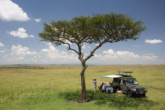 Lake Nakuru and Maasai Mara 4-Day Safari Adventure