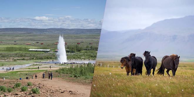 Golden Circle Tour with Icelandic Horse Riding Experience