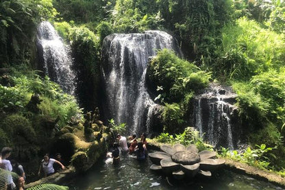 Discover the Secrets of Sustainable Beekeeping: Stingless Bee Honey Farm Tour