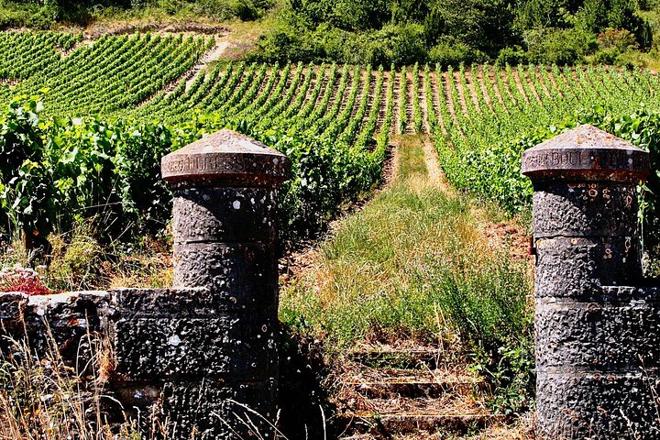 Exclusive Burgundy Wine Tasting Tour: 3 Domaines, Chateau Pommard, Chablis & 15 Varieties - Day Trip from Paris