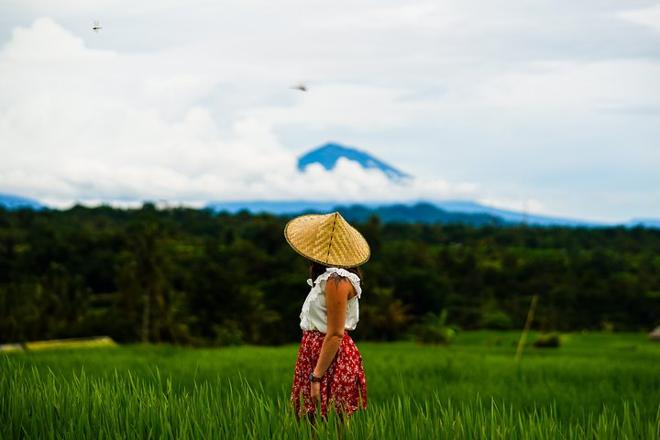 Exclusive Bali Temple and Countryside Exploration