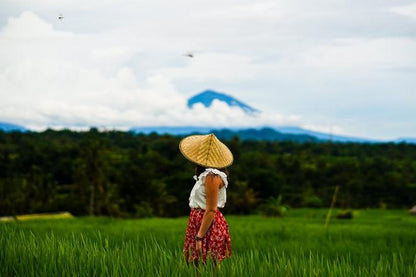 Exclusive Bali Temple and Countryside Exploration