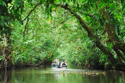 Costa Rica's Caribbean Escape: 5 Days Exploring Tortuguero National Park and Puerto Viejo