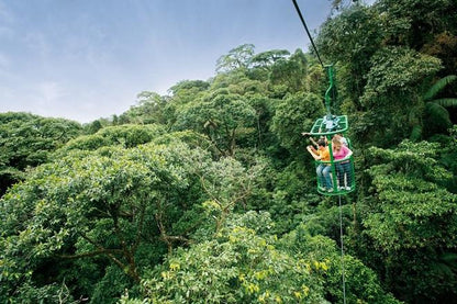 Private Triple Experience Eco Tour: Rainforest Aerial Tram, River Cruise & Nature Walk