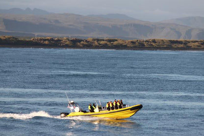 Speedboat Puffin Watching Adventure from Reykjavik Downtown