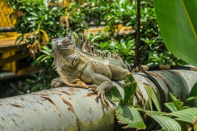 San Jose to Manuel Antonio National Park: A Day Adventure