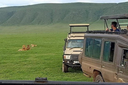 Ngorongoro Crater Full-Day Excursion