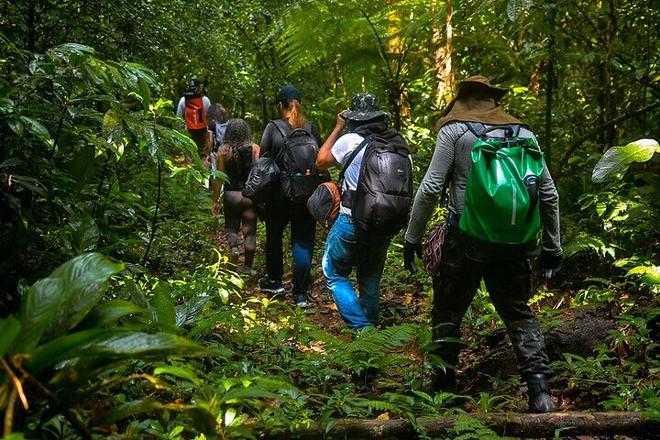 Exploring the Natural Beauty of Bertioga: Coastal Trail Adventure