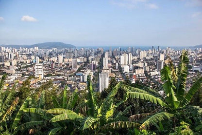 Santos Beach Escape: Private Full-Day Tour from São Paulo with Cultural and Historical Insights