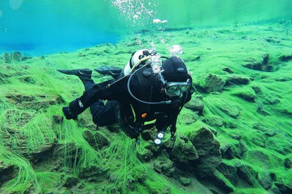 Silfra Diving Experience - Join Us On-Site