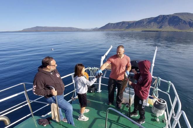 Reykjavik Premium Sea Fishing Experience with Gourmet Meal