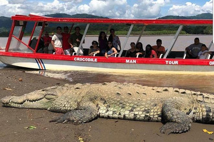 ATV Jungle and River Adventure with Crocodile Safari - Puntarenas Shore Excursion