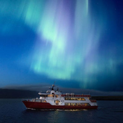 Icelandic Northern Lights Adventure: Cruise & Aerial Tour