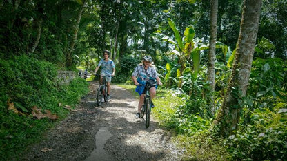 Ultimate Morning Cycling Experience in Bali