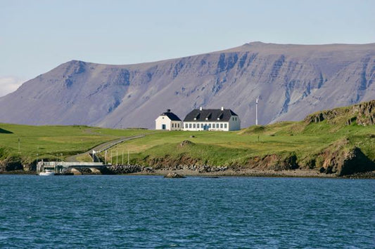 Skarfabakki to Viðey Island Ferry Experience