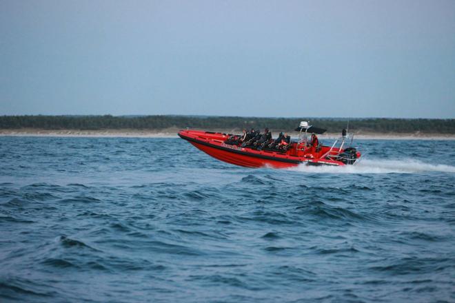 Downtown Reykjavik RIB Speedboat Tour: Whale and Puffin Watching Experience