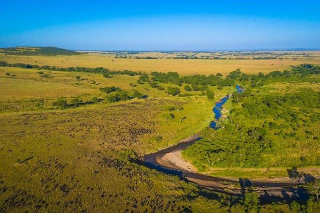 One-Day Maasai Mara Safari Adventure by Road