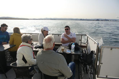 Whale Watching Adventure Cruise Departing from Reykjavik