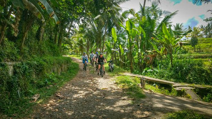 Bali Rural Bike Tour with Hotel Pickup Included