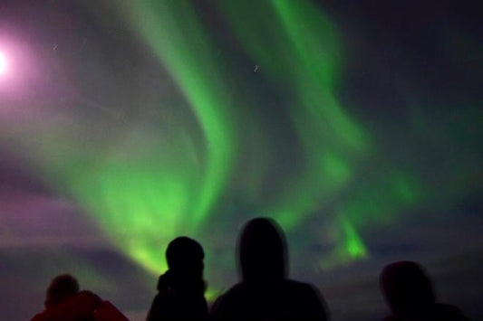 Reykjavik Whale Watching and Northern Lights Adventure