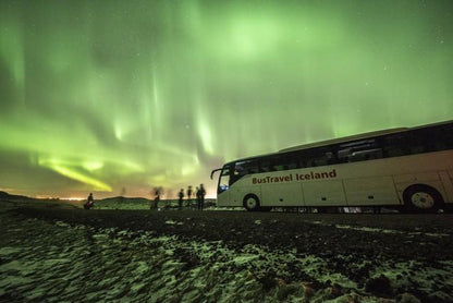 Reykjavik Northern Lights Adventure: Guided Bus Tour