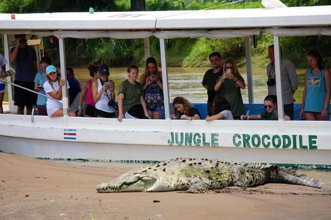 Crocodile Safari & Beach Exploration: A Thrilling Day Tour from San Jose to Jaco