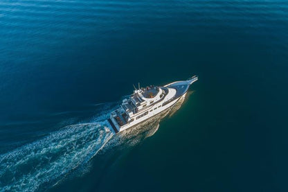 Whale Watching Adventure Cruise Departing from Reykjavik