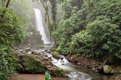 Private Tour to Poas Volcano and La Paz Waterfall Gardens