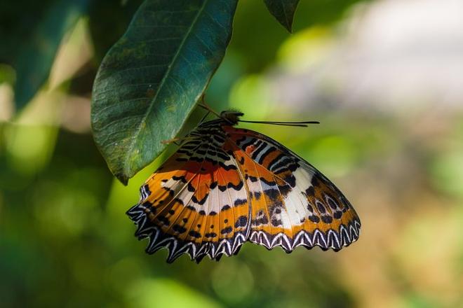 Exclusive Bali Temple and Countryside Exploration