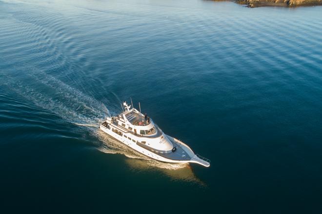 Whale Watching Adventure Cruise Departing from Reykjavik