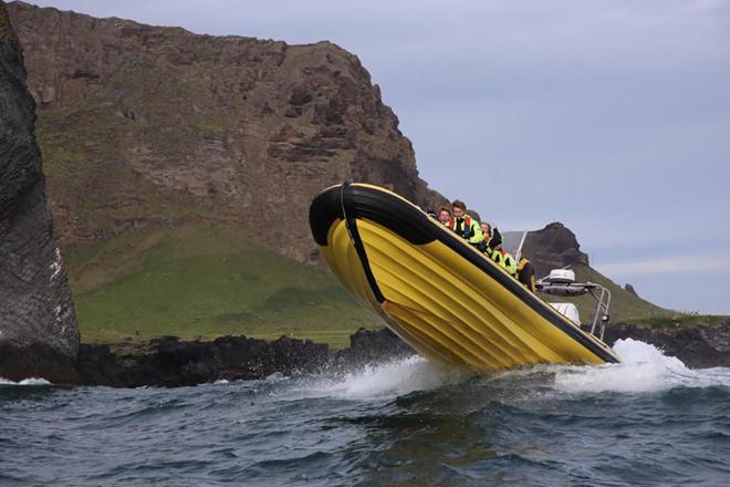 Downtown Reykjavik RIB Speedboat Tour: Whale and Puffin Watching Experience