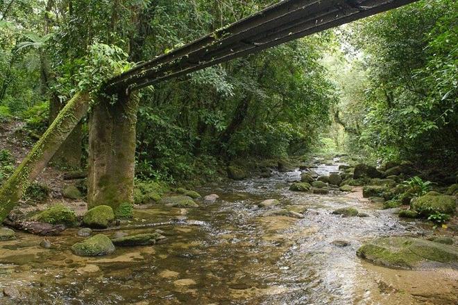 Exploring the Natural Beauty of Bertioga: Coastal Trail Adventure