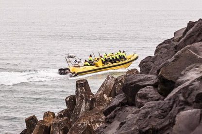 Downtown Reykjavik RIB Speedboat Tour: Whale and Puffin Watching Experience