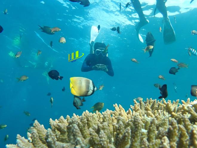 Snorkeling Adventure at the USAT Liberty Shipwreck in Tulamben, Bali