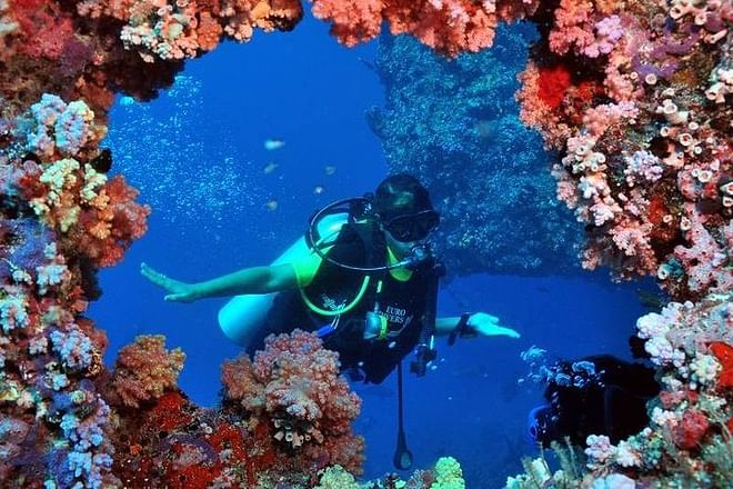 Scuba Diving Adventure from Kusadasi or Selcuk: Explore Underwater Wonders