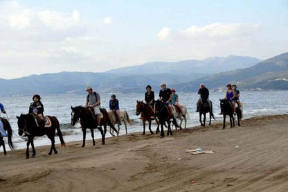 Kusadasi Horseback Riding Adventure: Tours from Port and Hotels