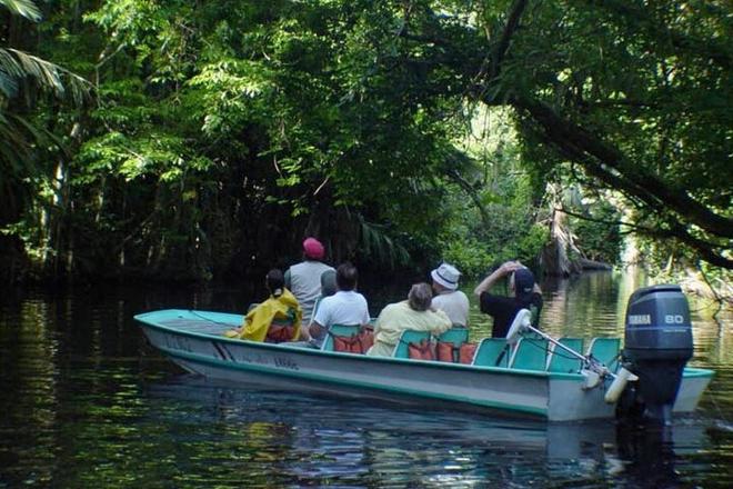 Three-Day Tortuguero National Park Adventure with Complimentary Pickup