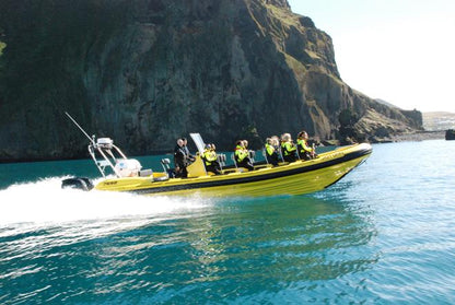 Downtown Reykjavik RIB Speedboat Tour: Whale and Puffin Watching Experience