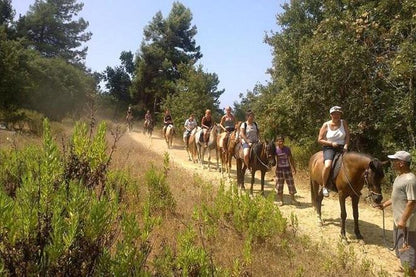 Kusadasi Horseback Riding Adventure: Tours from Port and Hotels