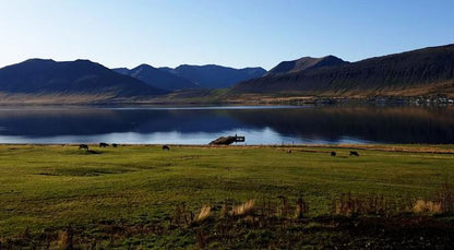 Explore Dynjandi Waterfall: A Majestic Journey from Isafjordur Port with Exclusive Farm Visit